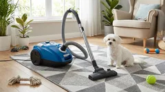 Vårstädning: Ta bort djurhår från mattor